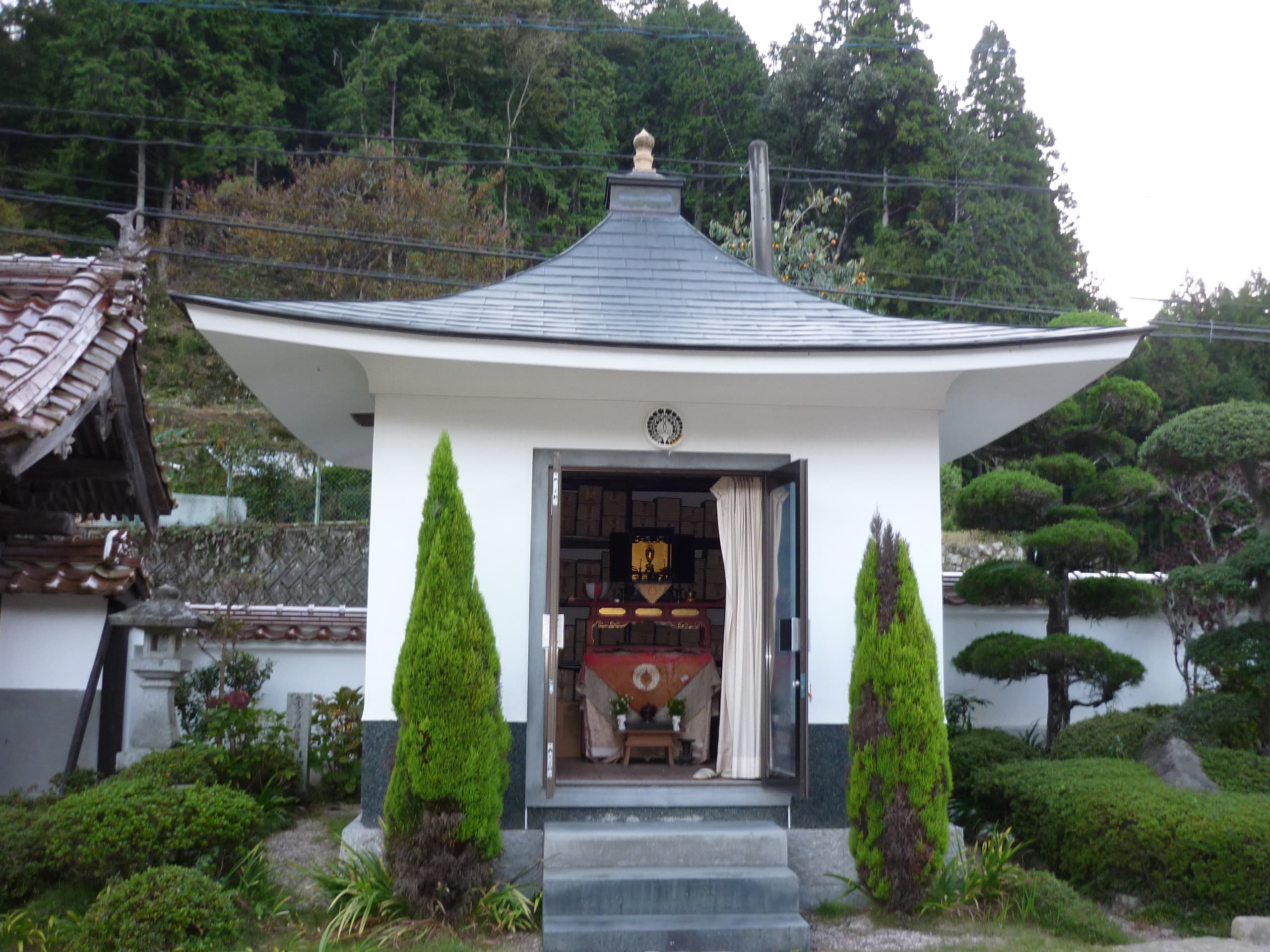 p1020410.jpg